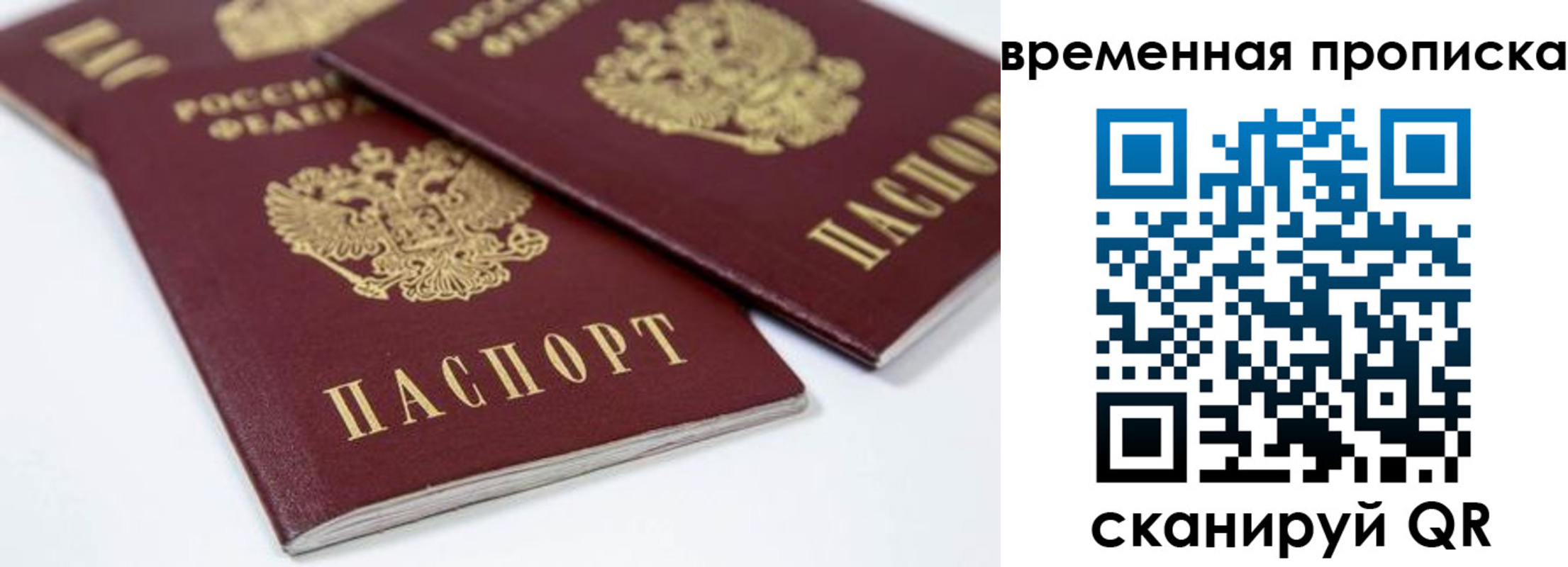 прописка для школы в Кировской области